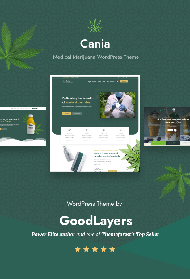 Cania - Cannabis & Marijuana Medical WordPress - 1