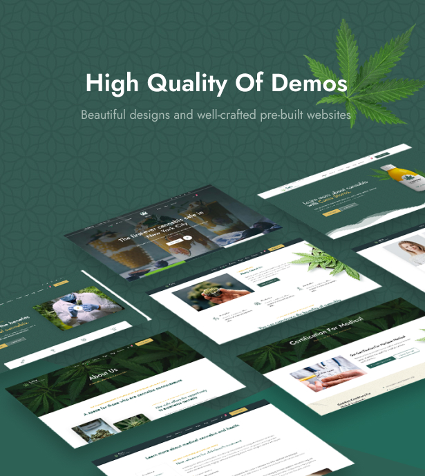 Cania - Cannabis & Marijuana Medical WordPress - 6
