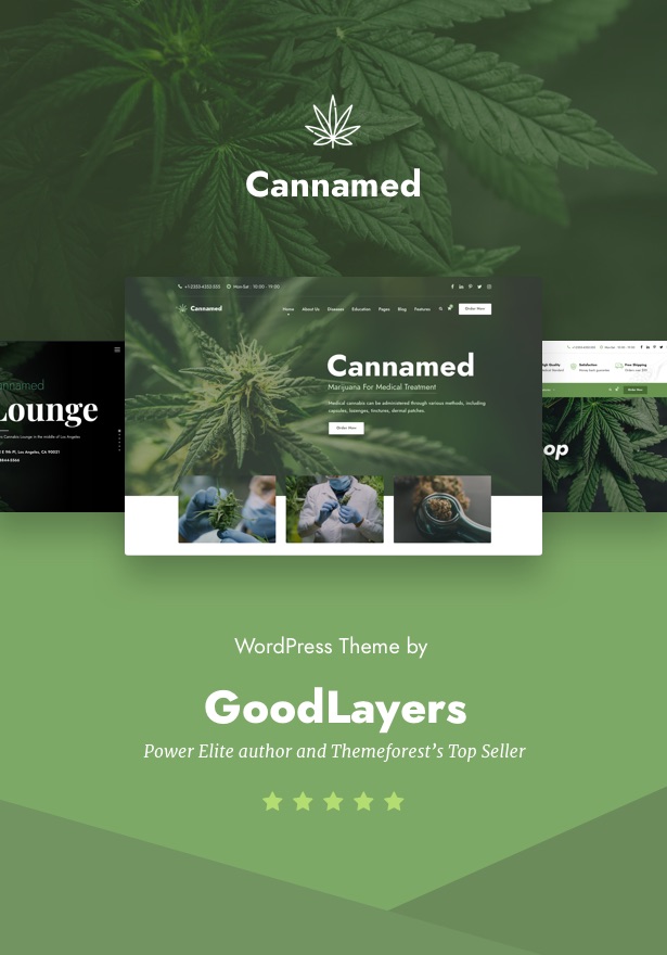 Cannamed - Cannabis & Marijuana WordPress - 2