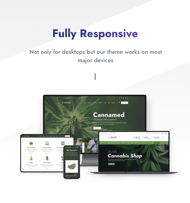 Cania - Cannabis & Marijuana Medical WordPress - 16
