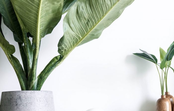 linh-le-FYgnwFMZBM0-unsplash